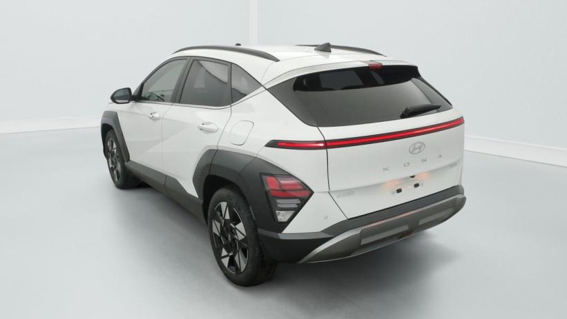 Aperçu du véhicule : Hybrid 129 Intuitive